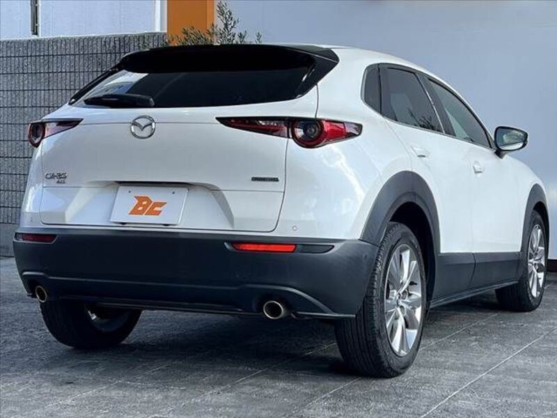 CX-30