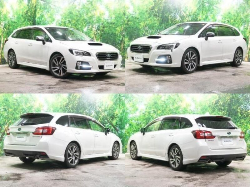 LEVORG