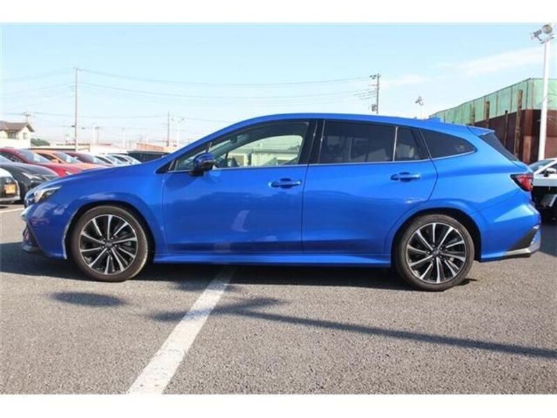 LEVORG