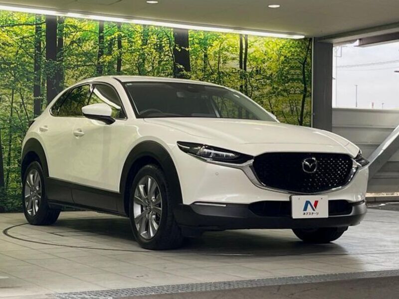 CX-30