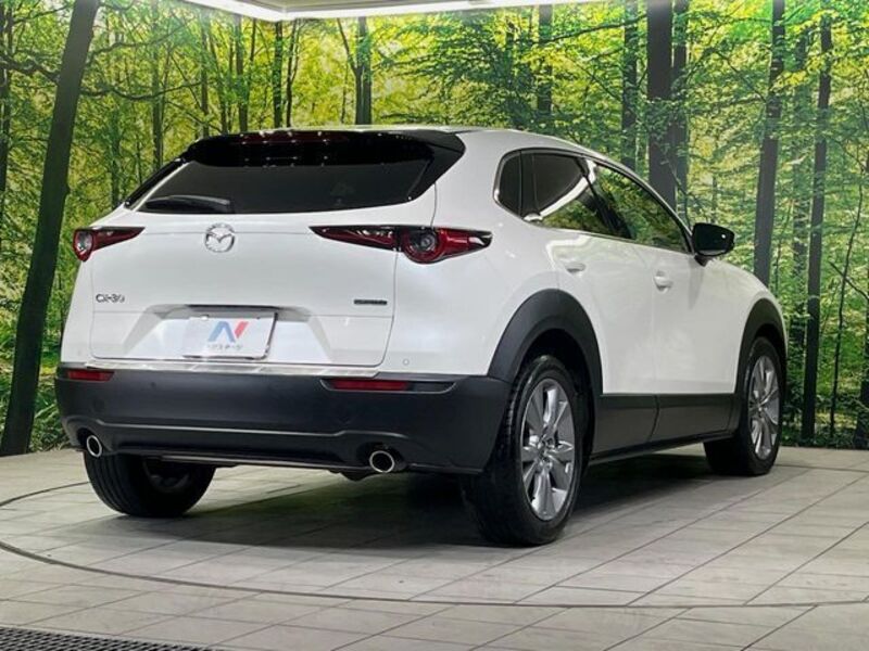 CX-30