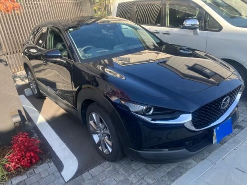 CX-30