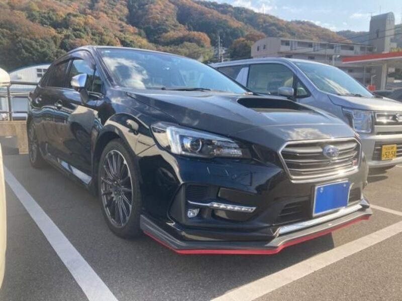 LEVORG