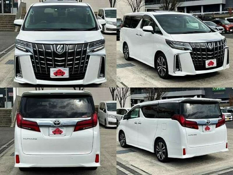 ALPHARD-8