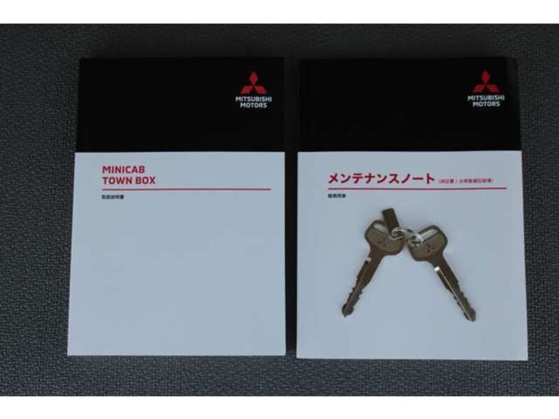 MINICAB VAN