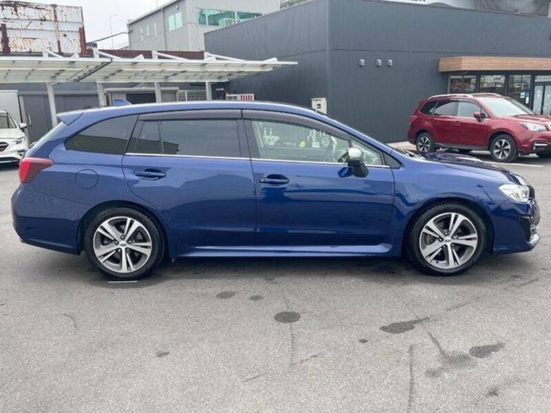 LEVORG