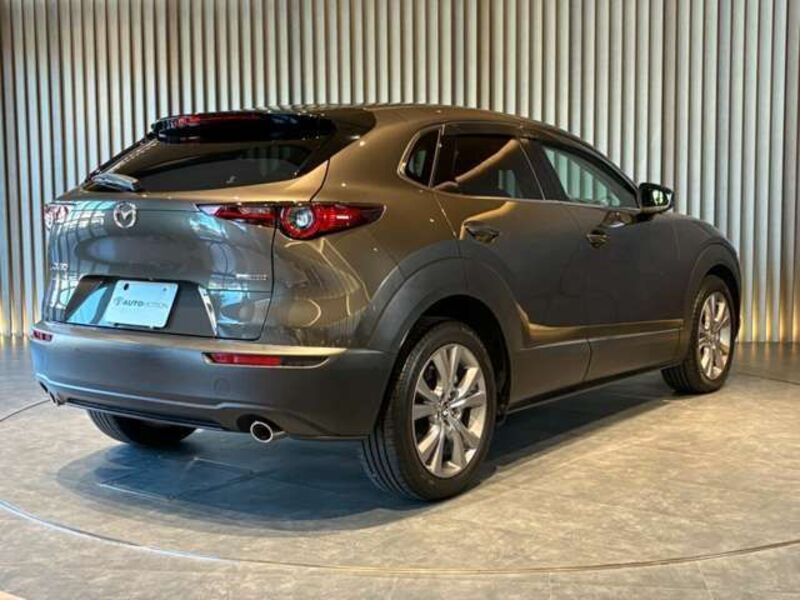 CX-30