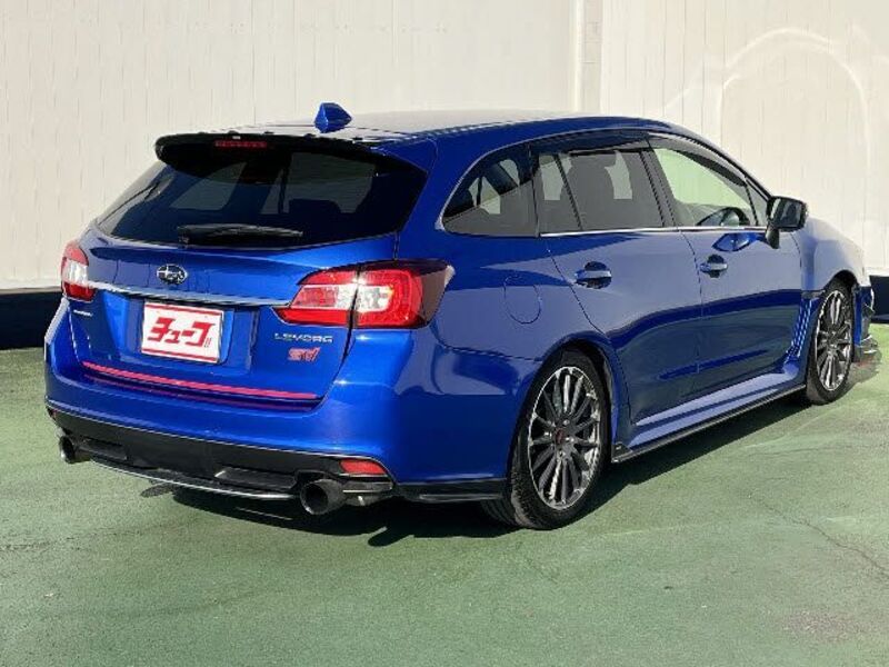 LEVORG