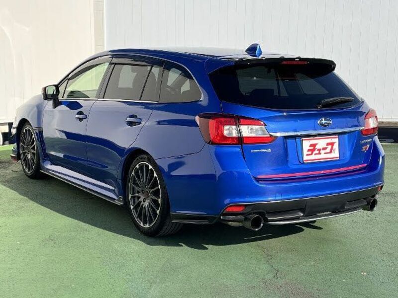 LEVORG