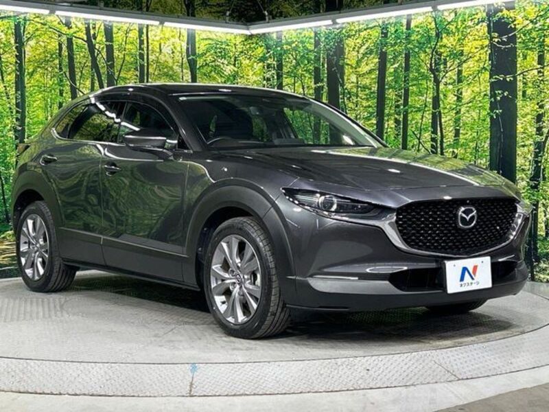 CX-30