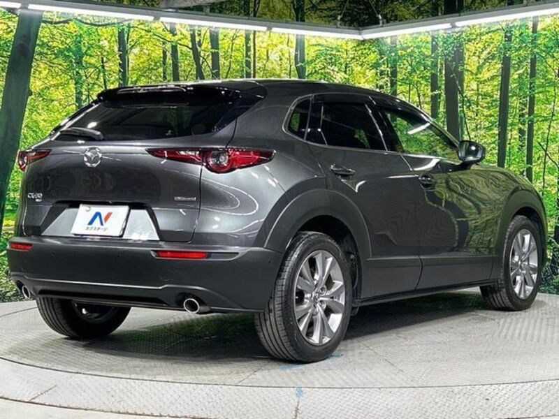 CX-30