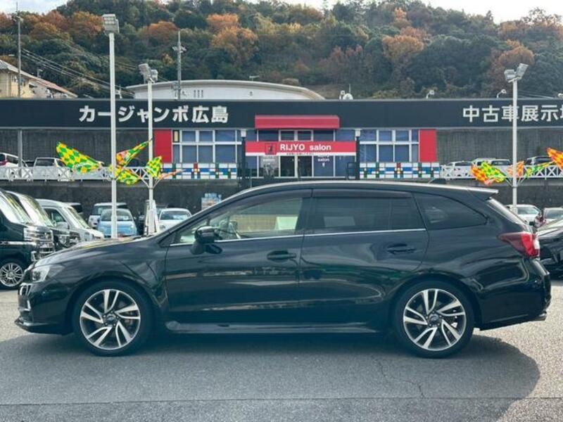 LEVORG