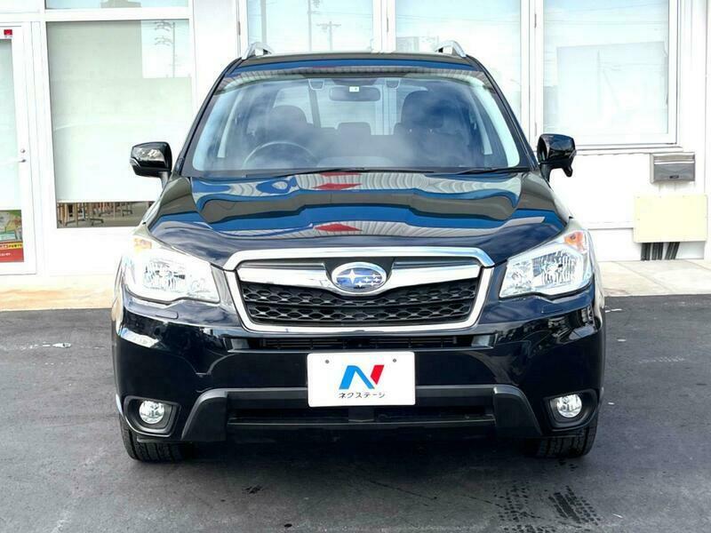 FORESTER-43