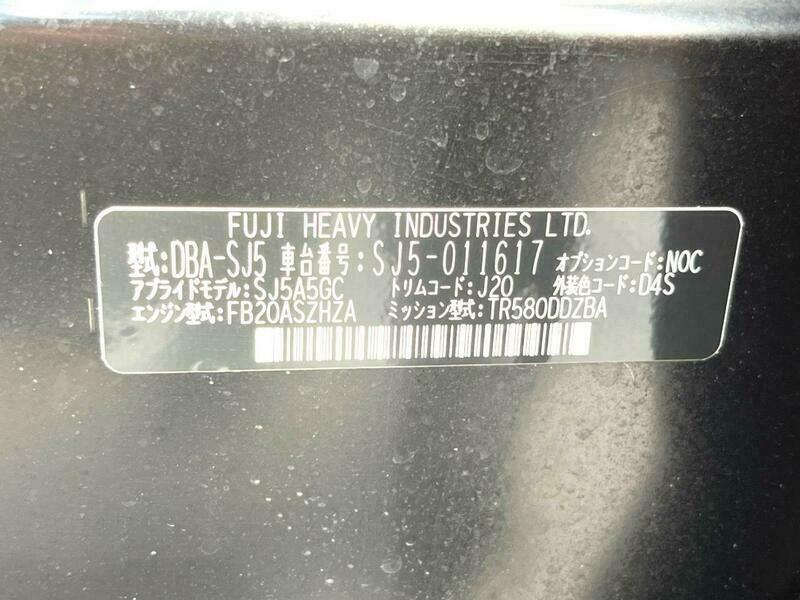 FORESTER-17