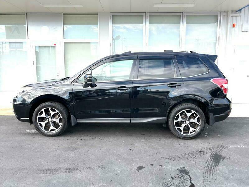FORESTER-50