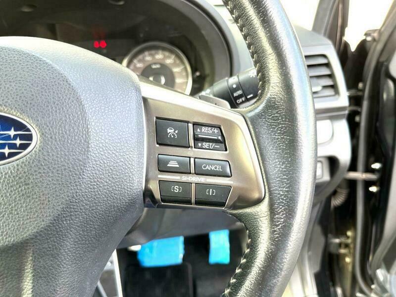 FORESTER-53