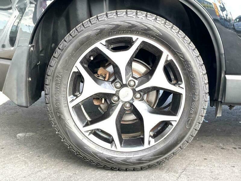 FORESTER-45