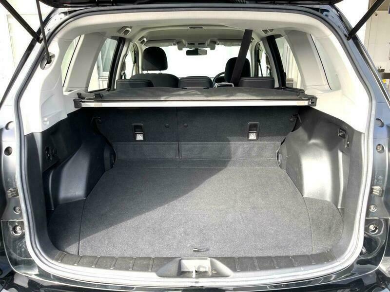 FORESTER-58