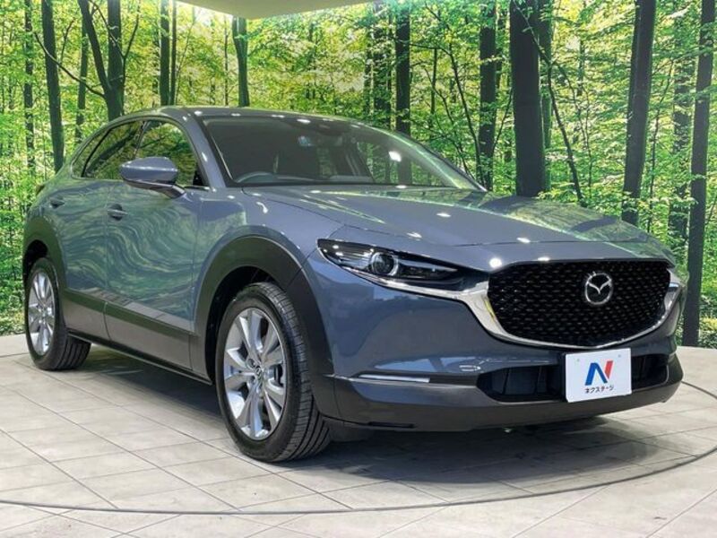 CX-30