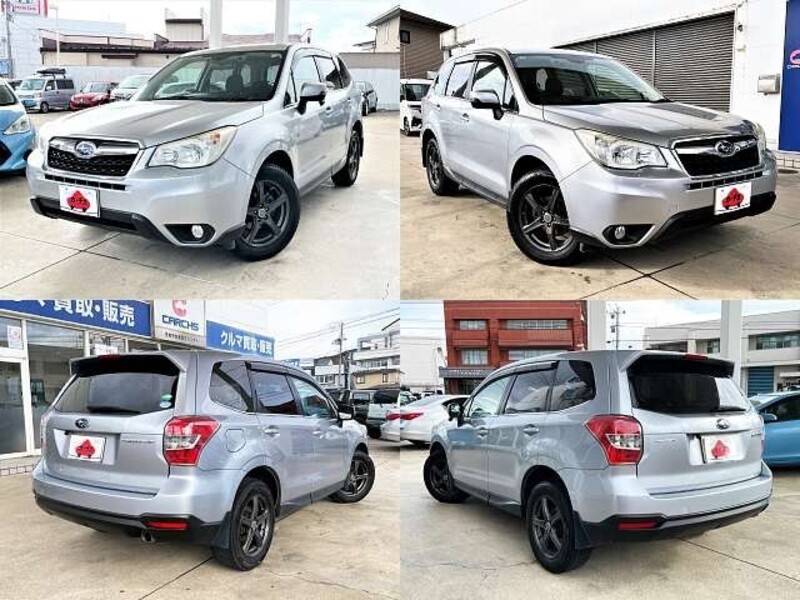 FORESTER