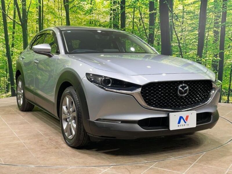 CX-30