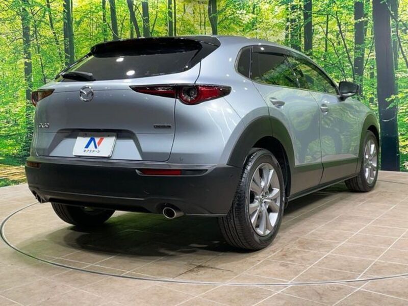 CX-30