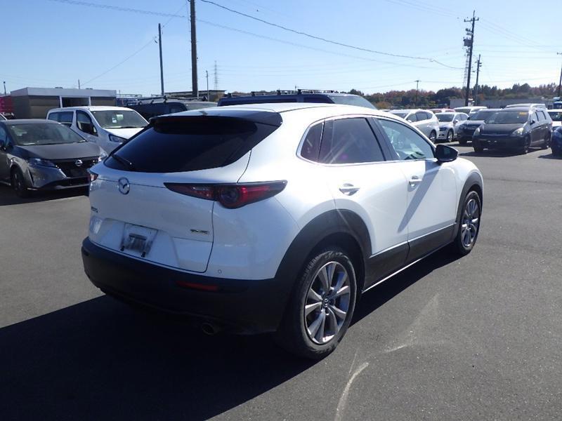 CX-30