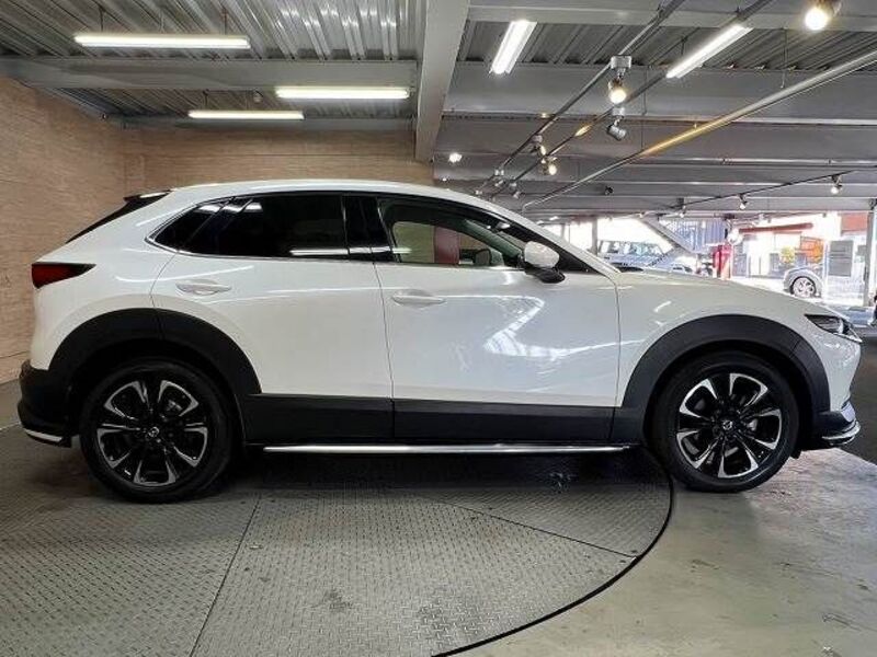 CX-30