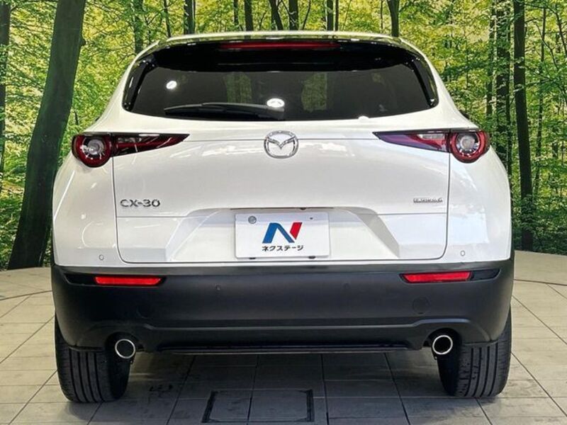 CX-30