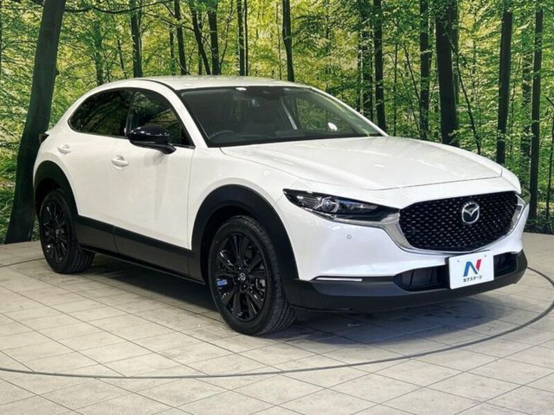 CX-30