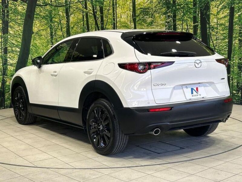 CX-30