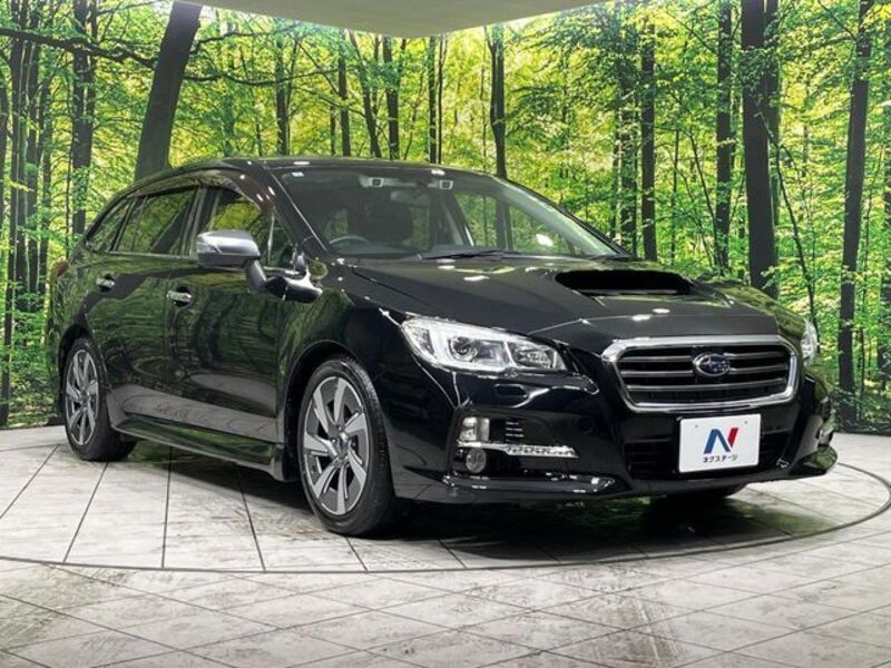 LEVORG