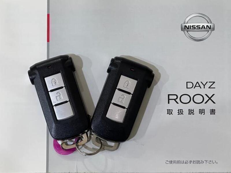 DAYZ ROOX