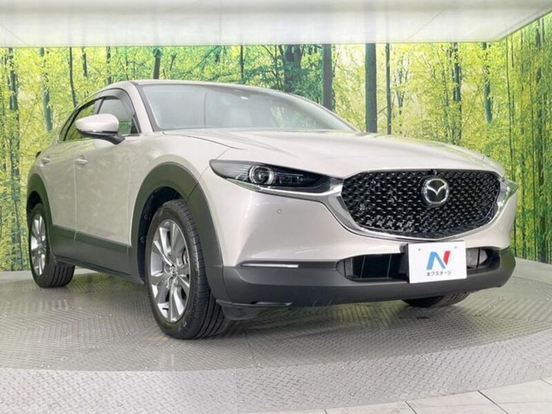 CX-30