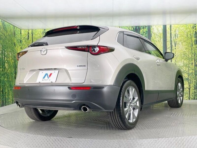 CX-30