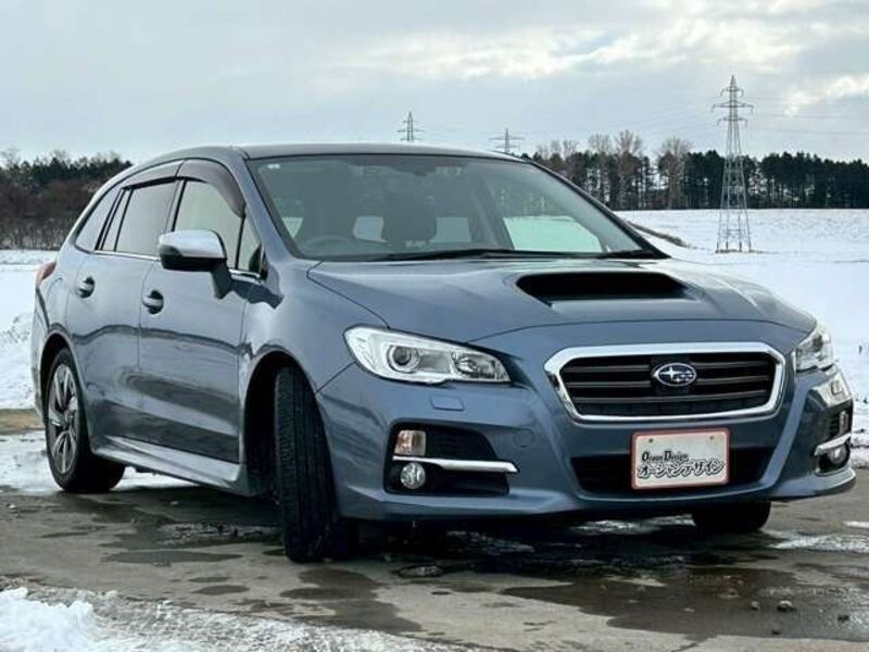 LEVORG