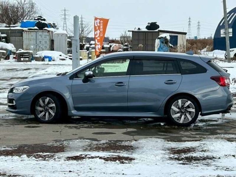 LEVORG