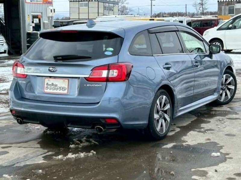 LEVORG