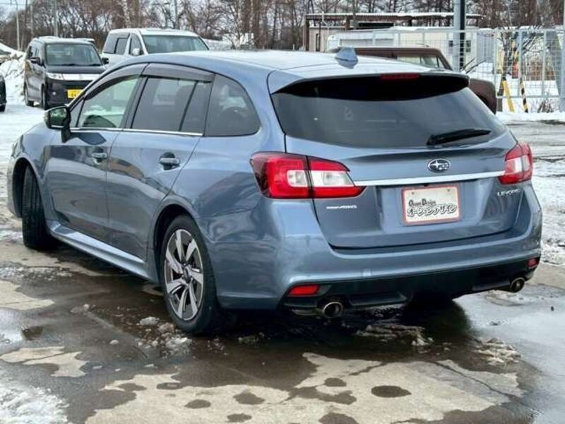 LEVORG