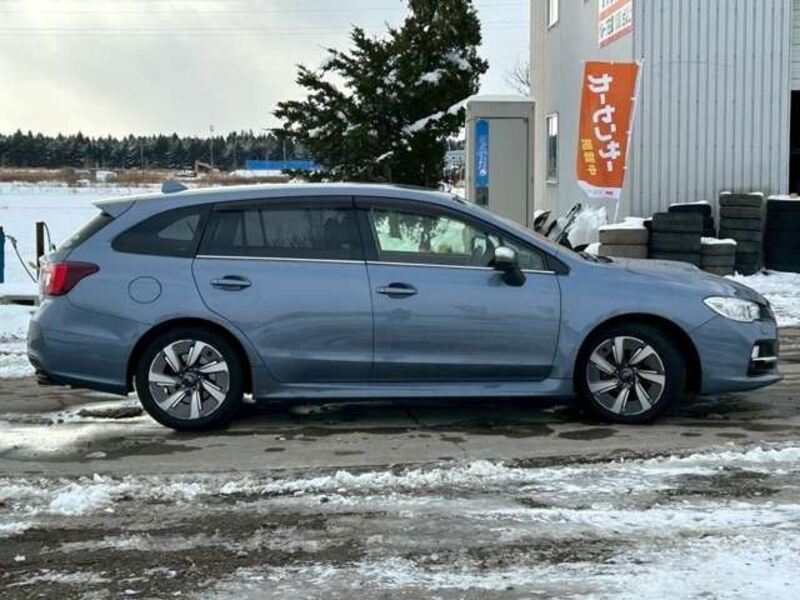 LEVORG