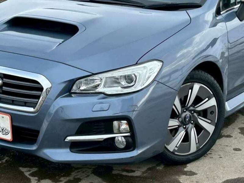 LEVORG