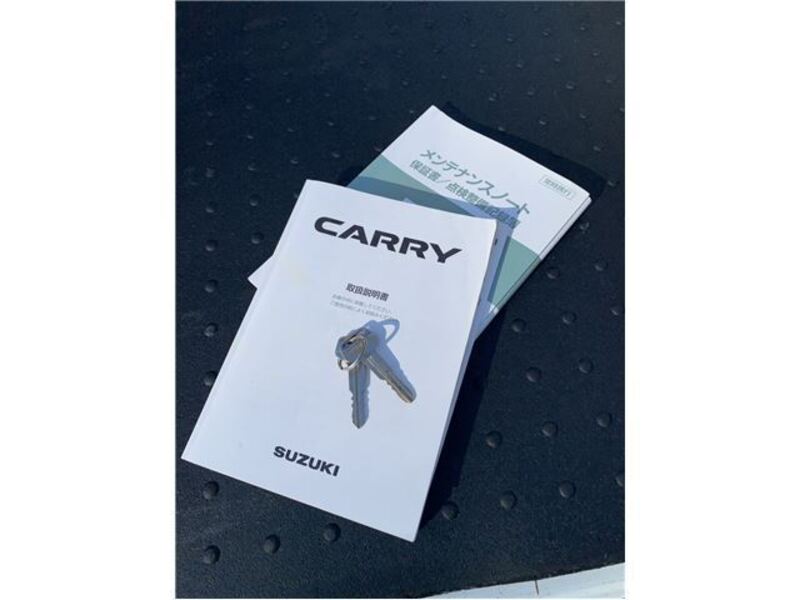 CARRY TRUCK