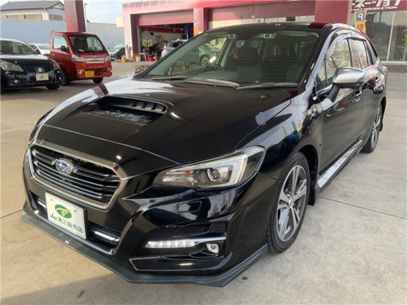 LEVORG