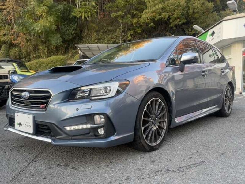 LEVORG