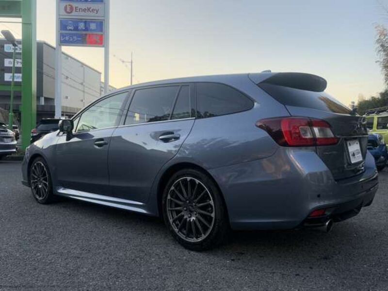 LEVORG