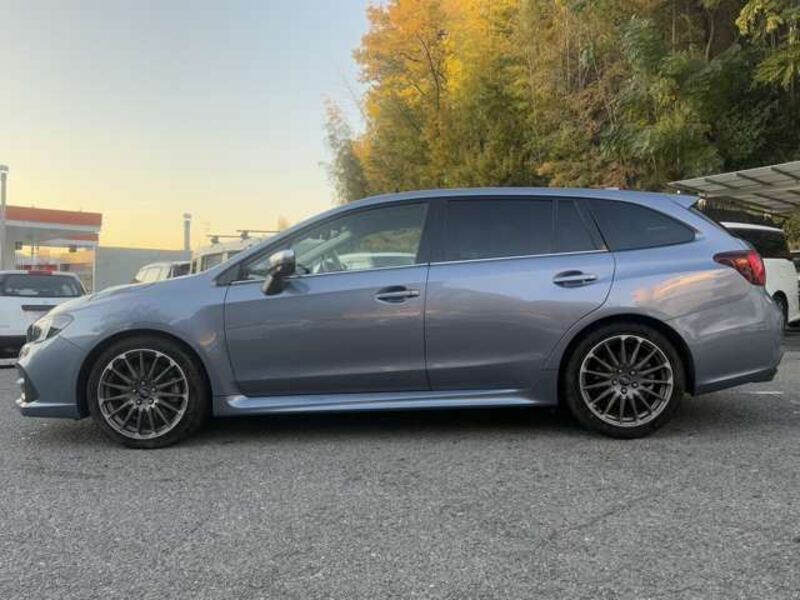 LEVORG