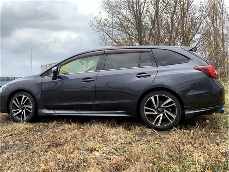 LEVORG
