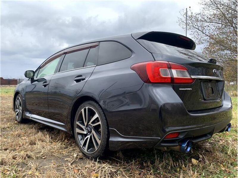 LEVORG