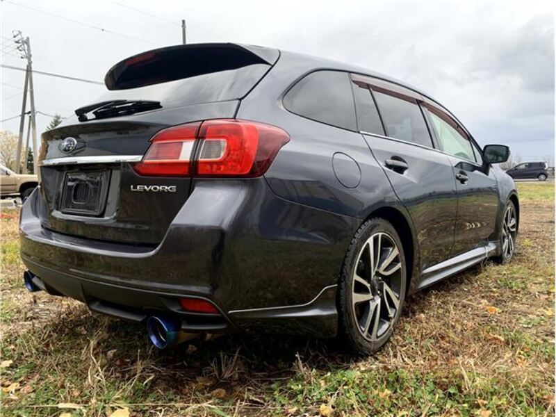 LEVORG