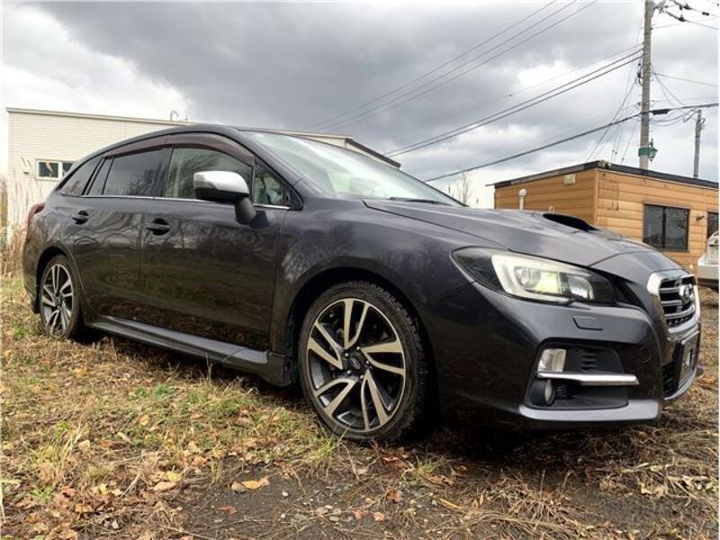 LEVORG